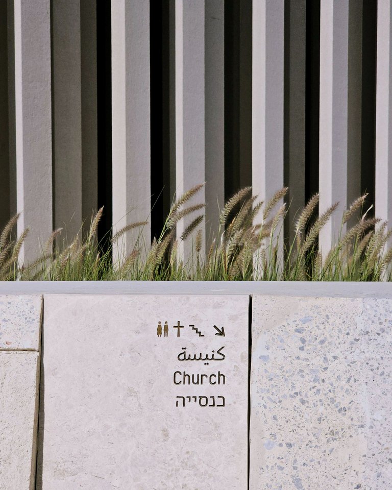 1000033525.jpg