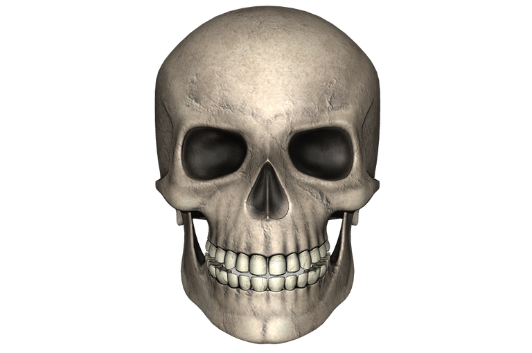 skull-1746206_960_720.png