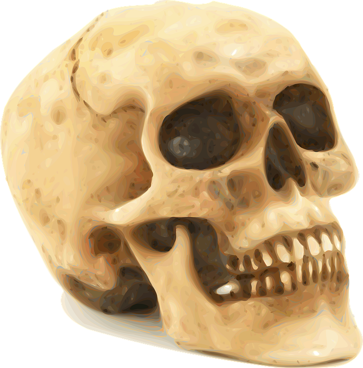 skull-151396_960_720.png