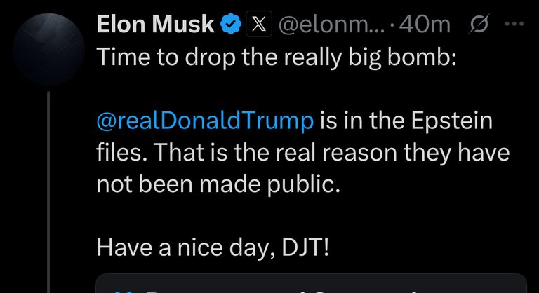 Musk.jpeg