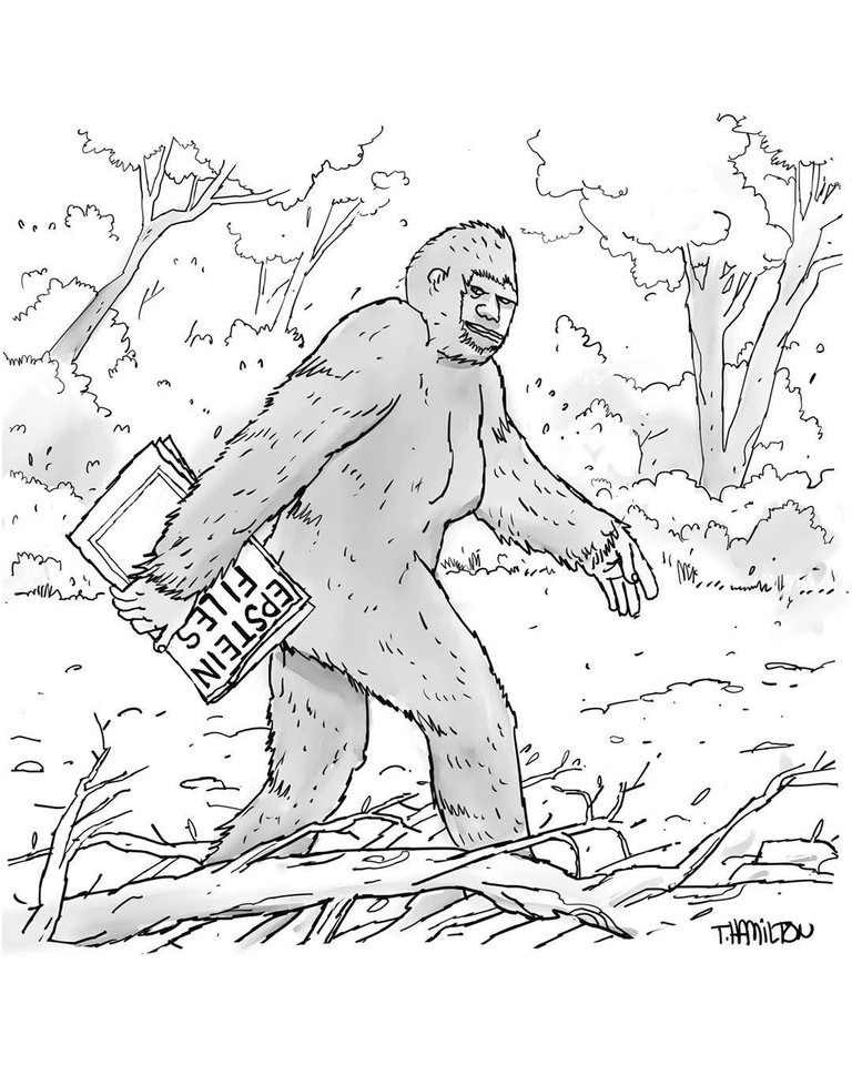 Sasquatch.jpeg