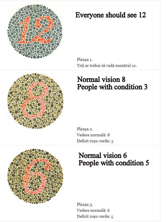 Ishihara plate 1.jpg