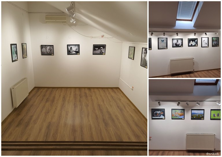 Photo Exhibition.jpg