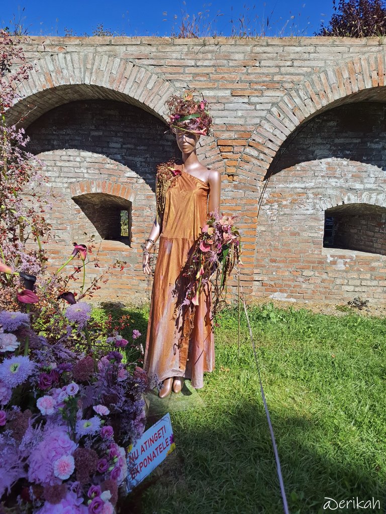 20250920_115318a.JPG
