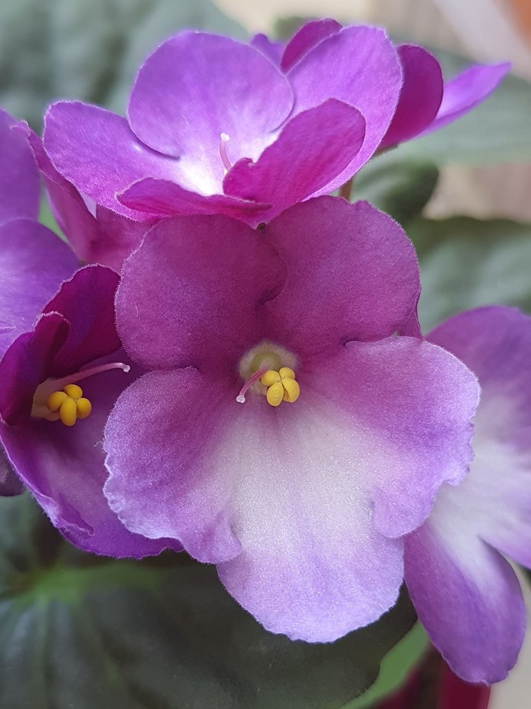 20250724_132122a.jpg
