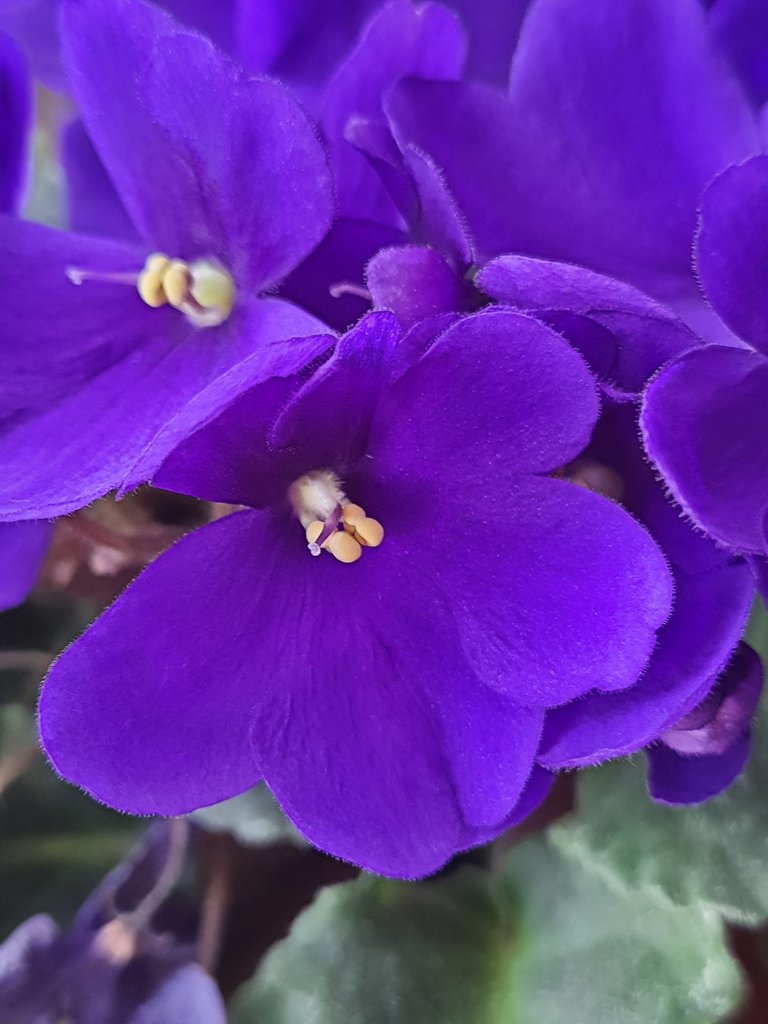 20250724_132108.jpg