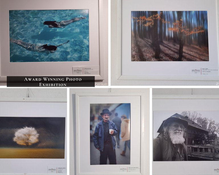 Award Winning Photo Exhibition.jpg