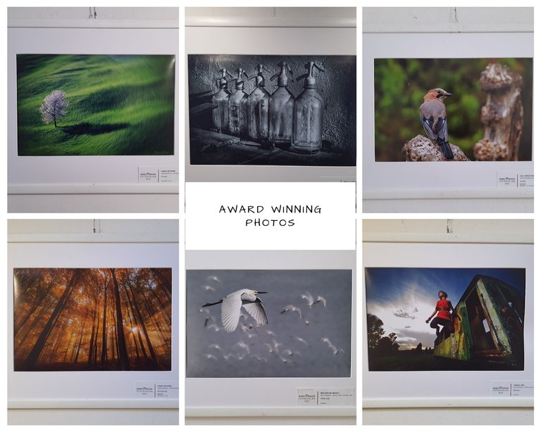 Award Winning Photos.jpg