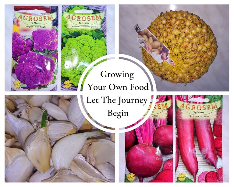 Growing Your Own Food - Let The Journey Begin.jpg