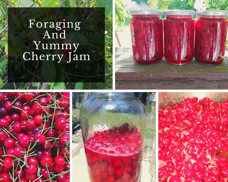 Foraging And Yummy Cherry Jam.jpg