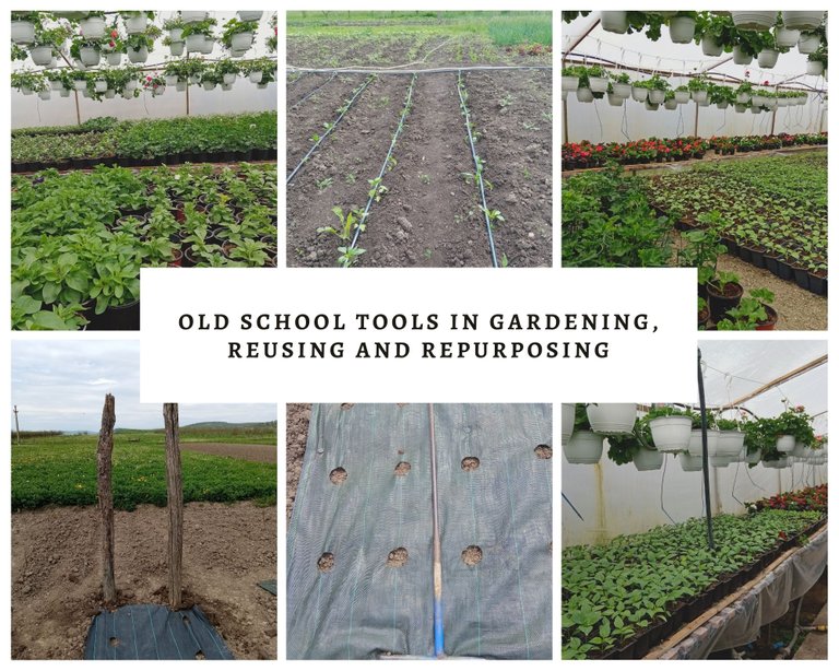 Organic Fertilizer Use In Seedling Growing - Old School Greenhouse For Seedlings - Recycling Everything(1).jpg
