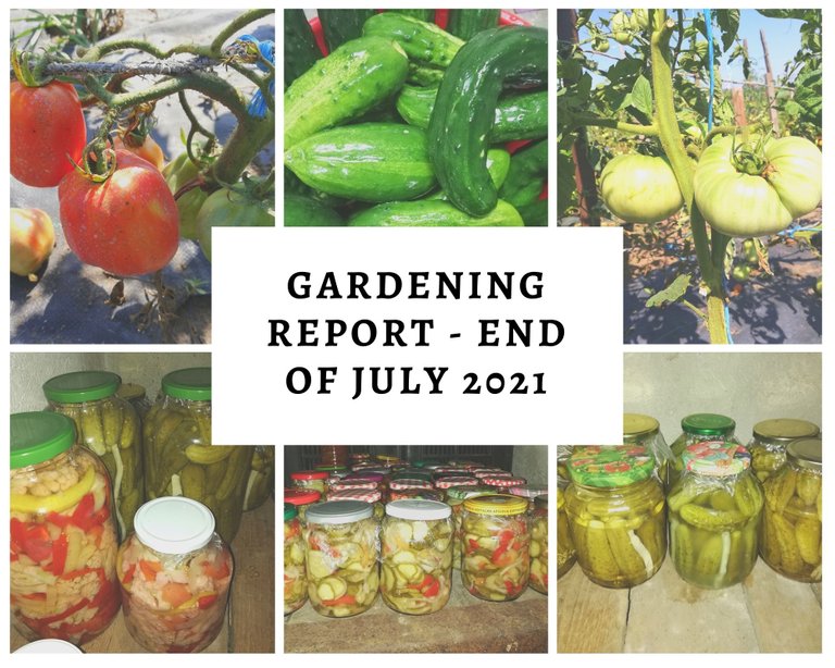 Gardening Report - End Of July 2021.jpg