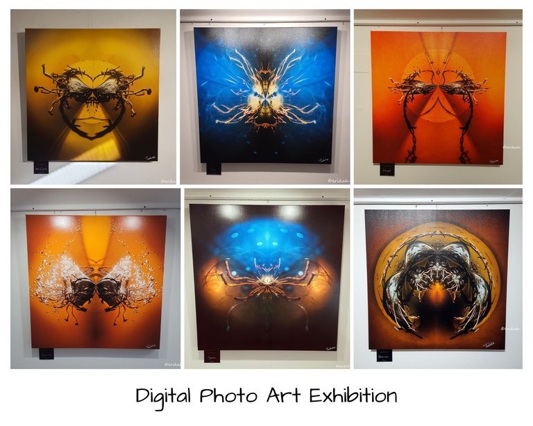 Digital Photo Art Exhibition.jpg
