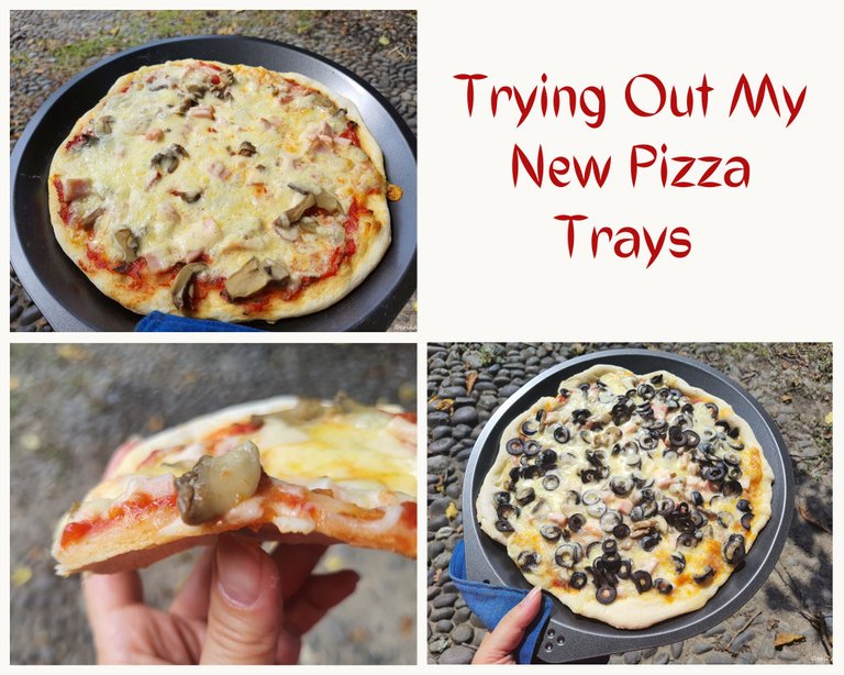Trying Out My New Pizza Trays 1.jpg