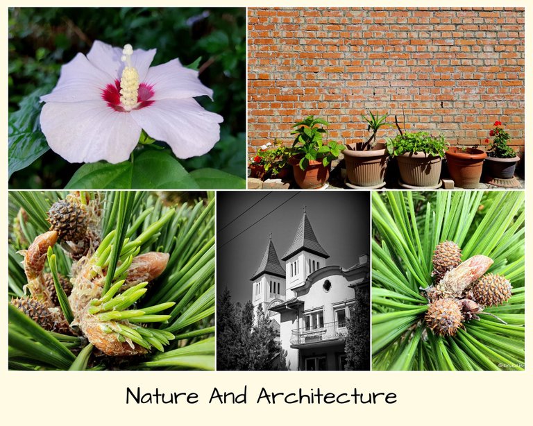 Nature And Architecture.jpg