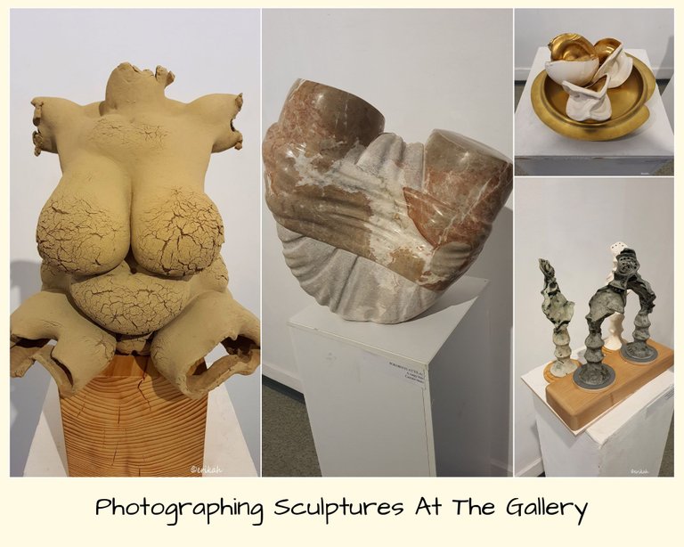 Photographing Sculptures At The Gallery.jpg