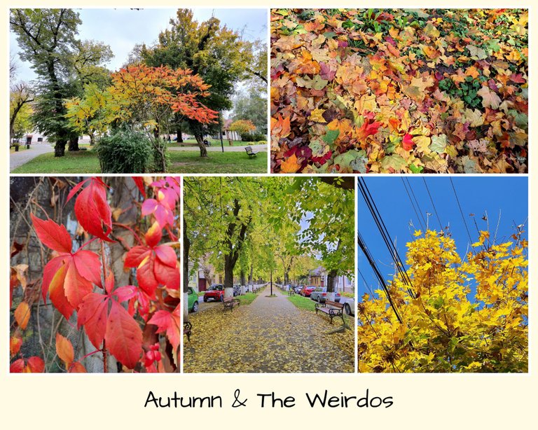 Autumn & The Weirdos.jpg