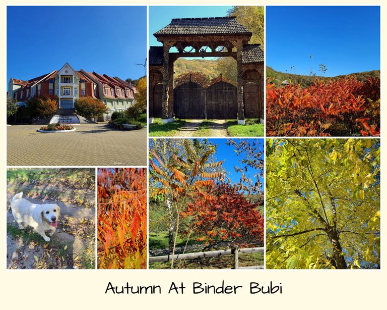 Autumn At Binder Bubi.jpg