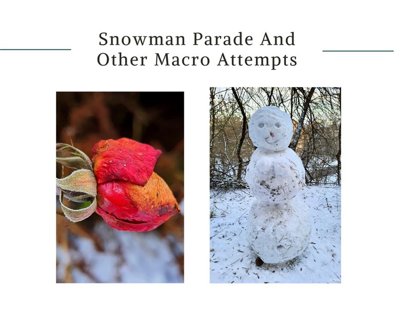 Snowman Parade And Other Macro Attempts.jpg