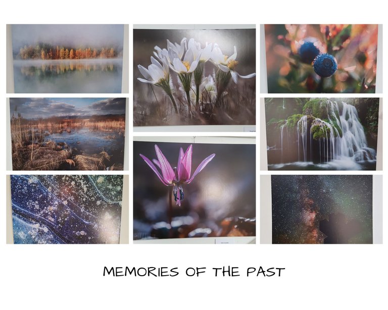 Memories Of The Past.jpg