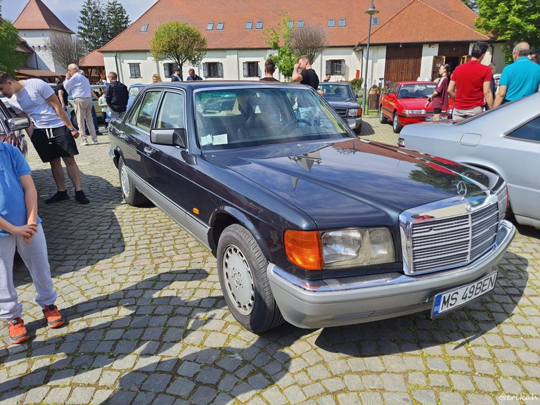 20250426_112625a.JPG