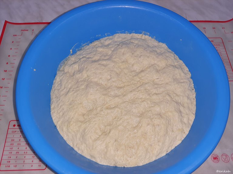20220323_163059a.jpg
