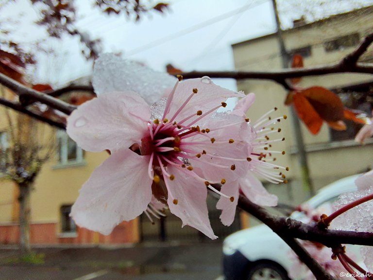 20230406_125141a.jpg
