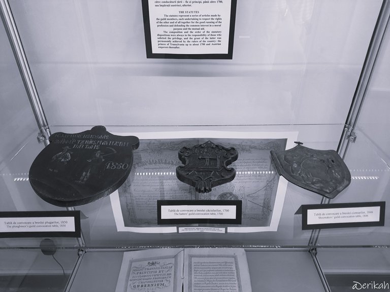 20230910_151251a.jpg