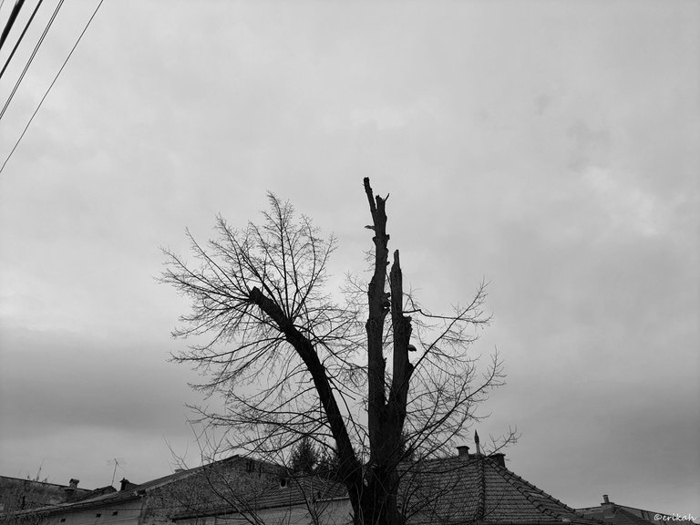 20230224_122423a.jpg