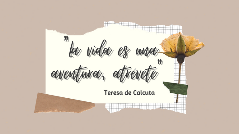 La vida es una aventura, atrévete (Teresa de Calcuta).png