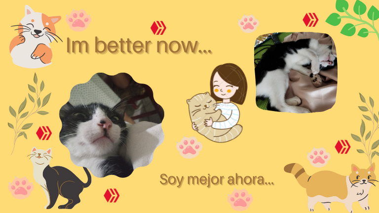 Una vida màs felìz es una vida con gatos (1).png