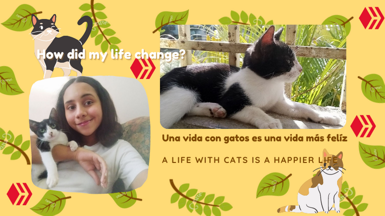 Una vida màs felìz es una vida con gatos.png