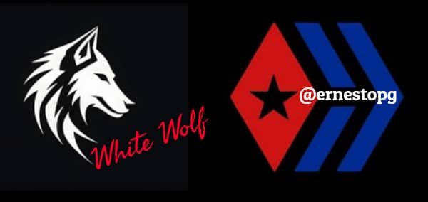 05 Banner.jpg