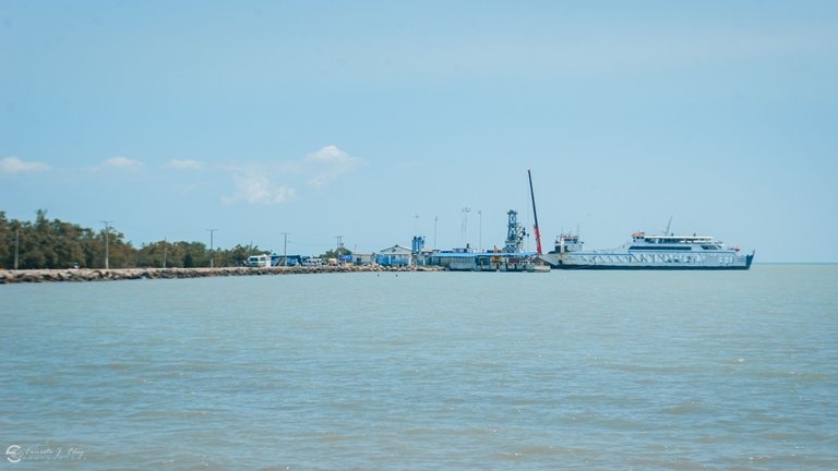 DSC_5849-1.jpg