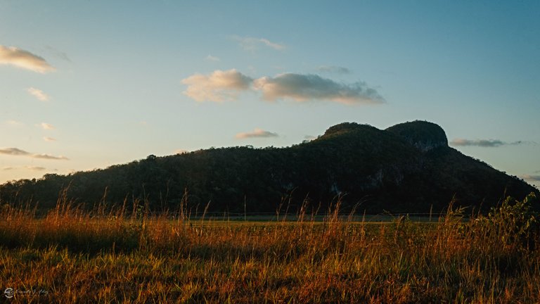 DSC_5810-1.jpg