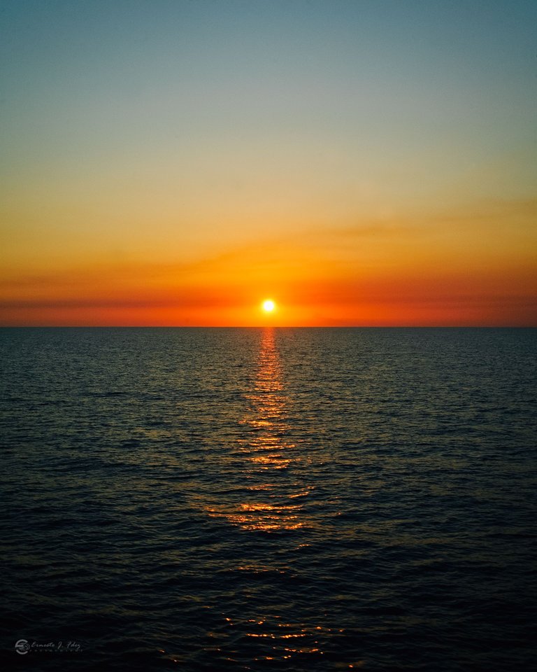 DSC_5779-1.jpg