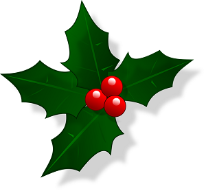 holly-1841718_640.png