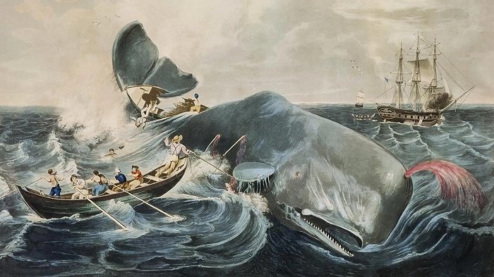 Ilustración portada Moby Dick.jpg