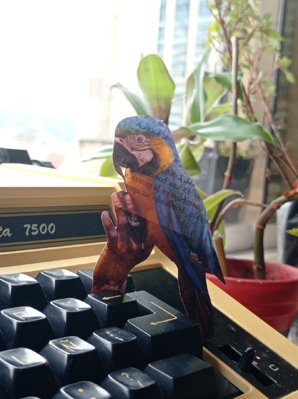 Guacamaya.jpg