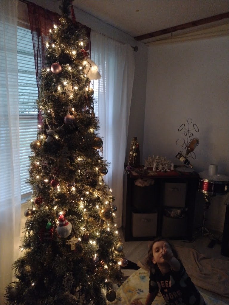 IMG_20221212_172153.jpg