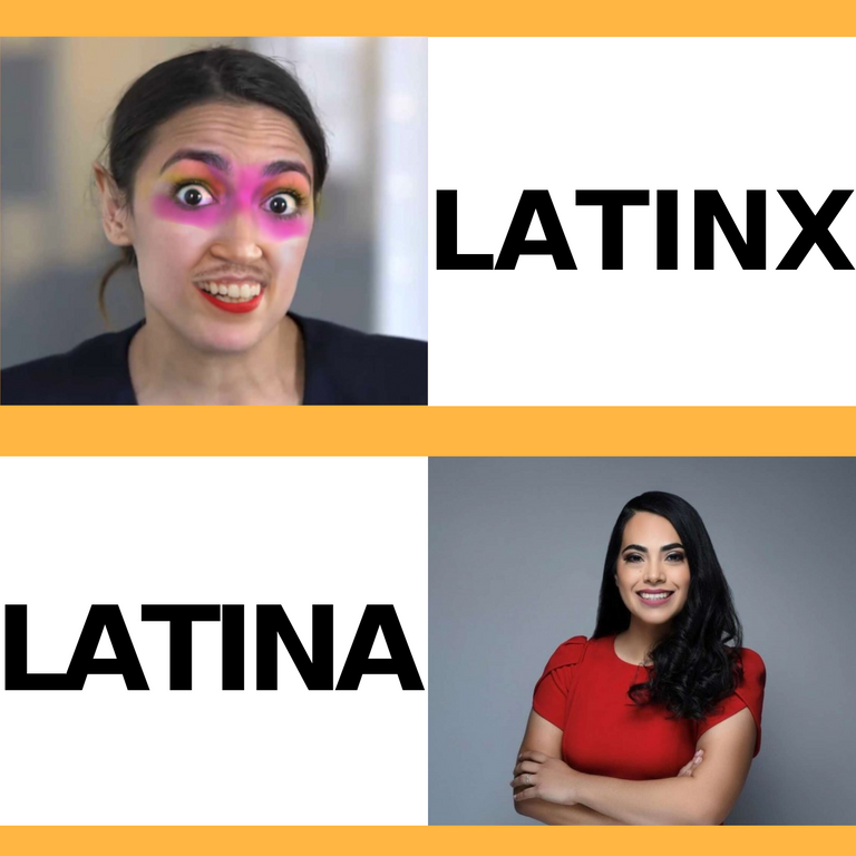 aoc mayra flores latina latinx alexandria ocasio cortez meme aoc meme ny meme new york texas florida california.png