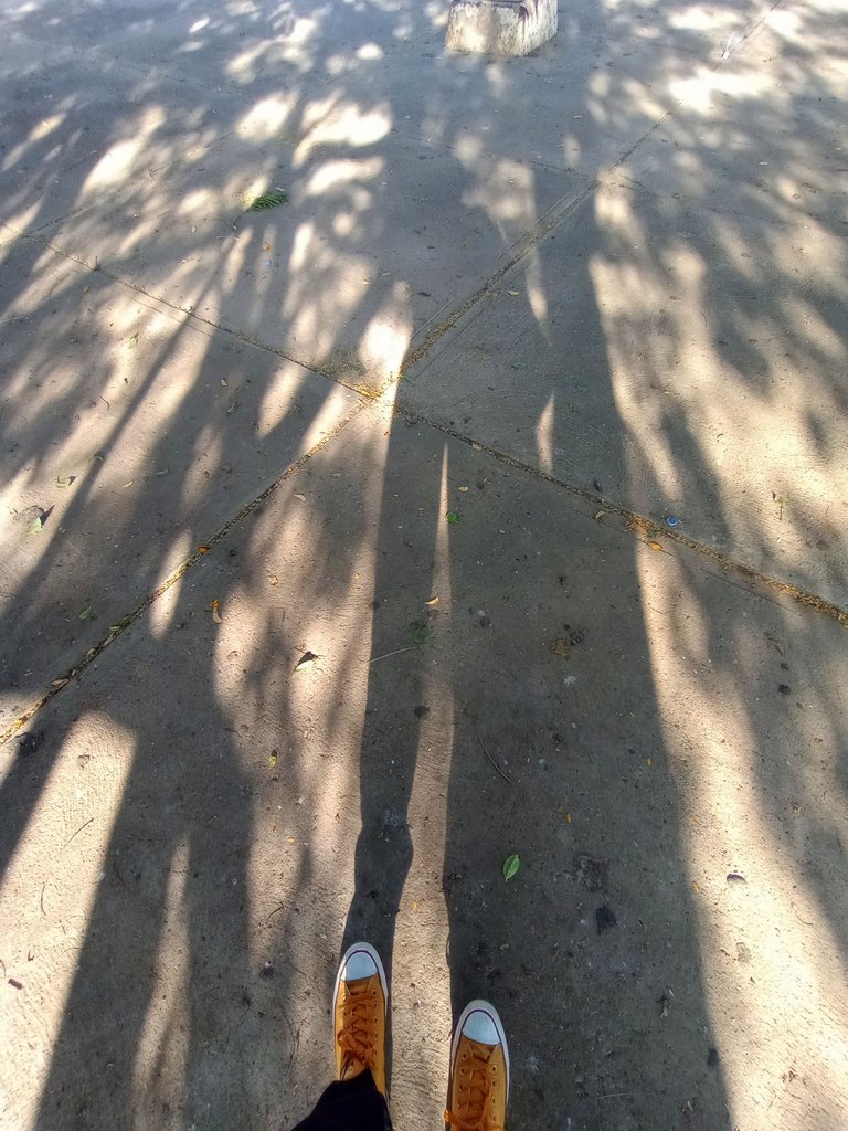IMG_20250305_172135130_MP.jpg