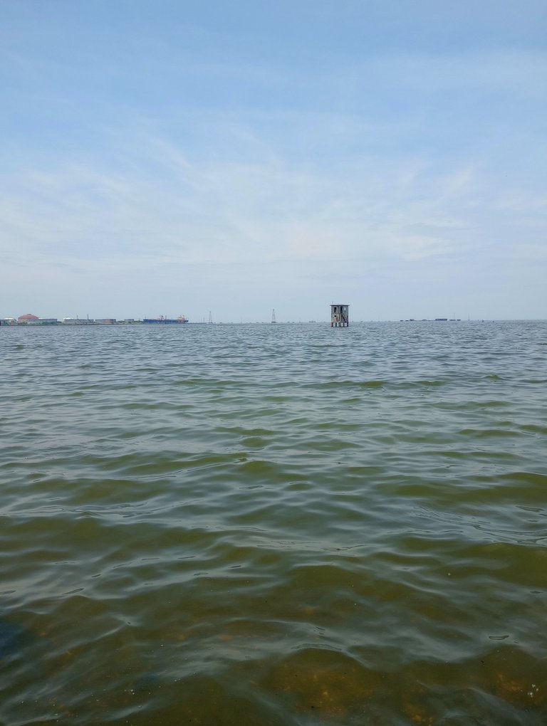 IMG_20250511_122231032_MP.jpg