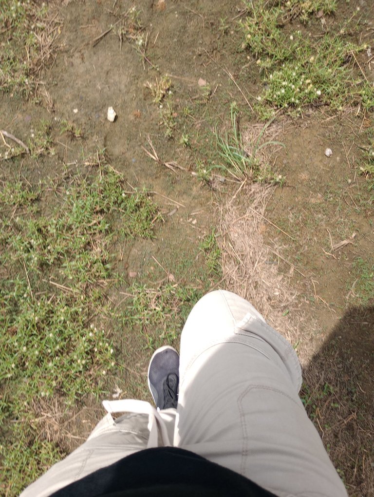 IMG_20250429_141715153_MP.jpg