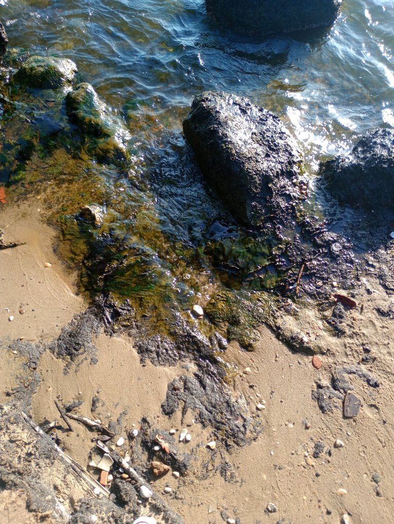 IMG_20250305_172315070_MP.jpg