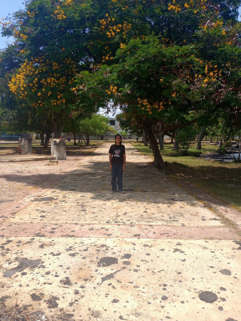 IMG_20250511_123953482_MP.jpg