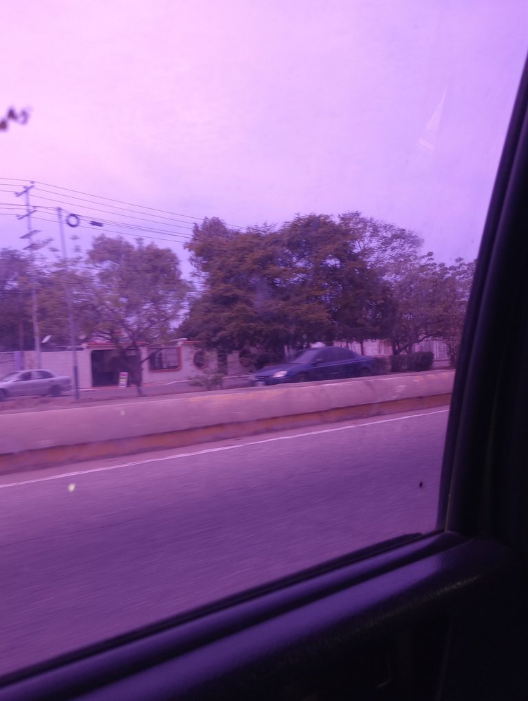IMG_20250320_121006700_MP.jpg