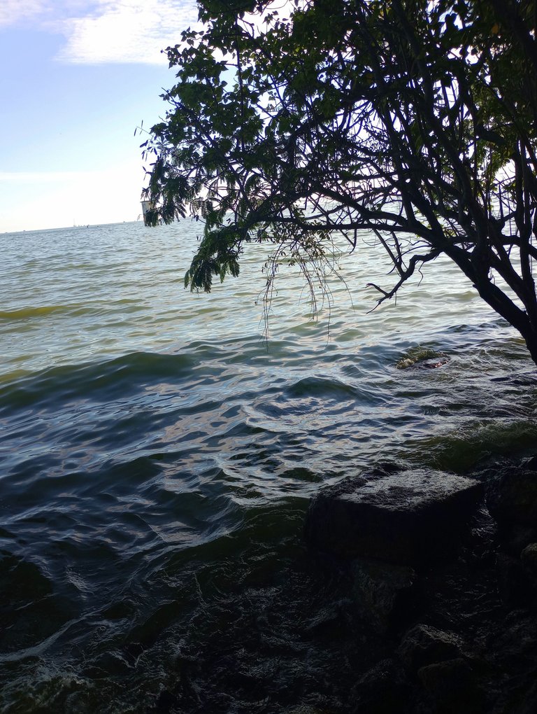 IMG_20250509_171725708_MP.jpg
