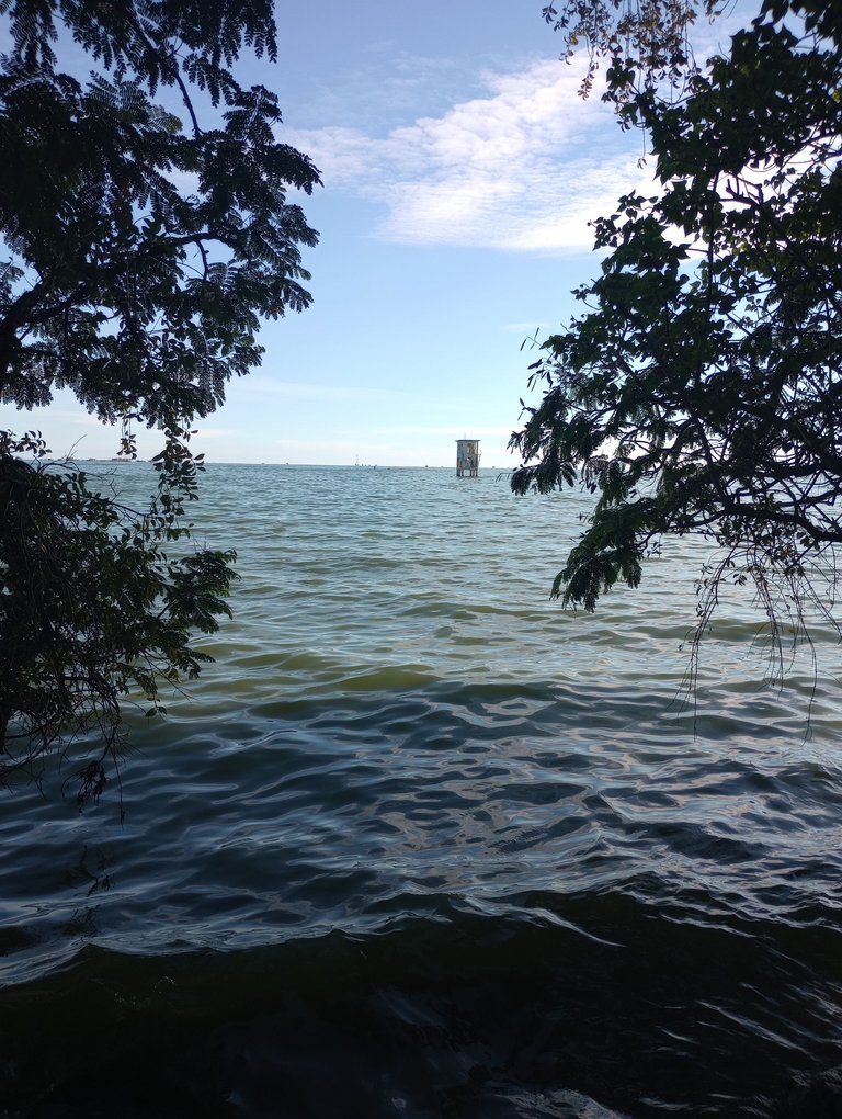 IMG_20250509_171715657_MP.jpg