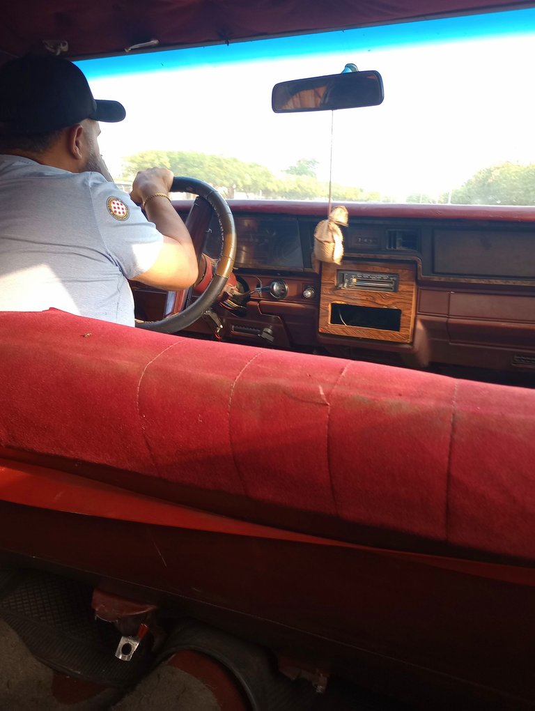 IMG_20250316_082519470_MP.jpg